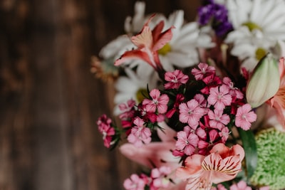 粉红色的花朵
